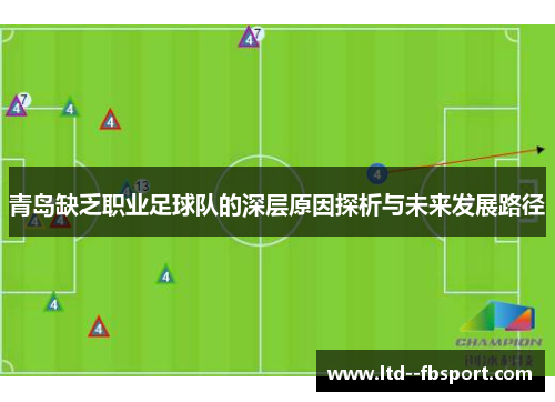 青岛缺乏职业足球队的深层原因探析与未来发展路径