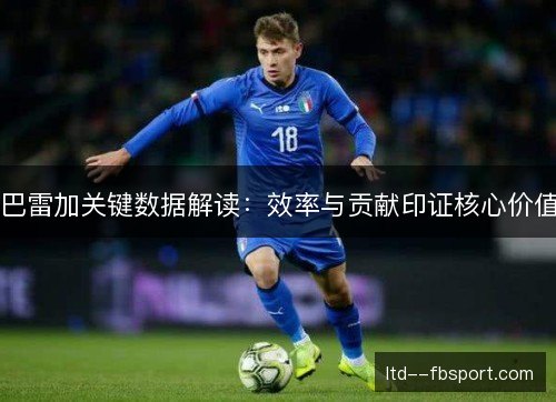 巴雷加关键数据解读：效率与贡献印证核心价值